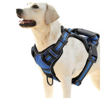 Pettorina Cane Imbracatura