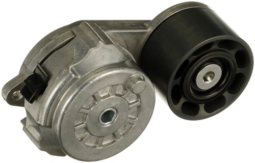 Gat multi tenditore - multi, cinghia
