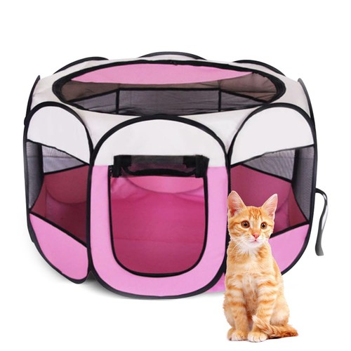 Recinto cani interno - cani,