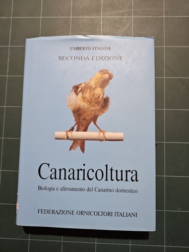Canaricoltura umberto zingoni - canaricoltura,