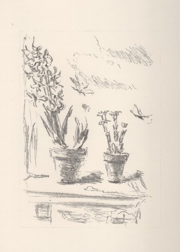 Filippo pisis i giacinti - ,