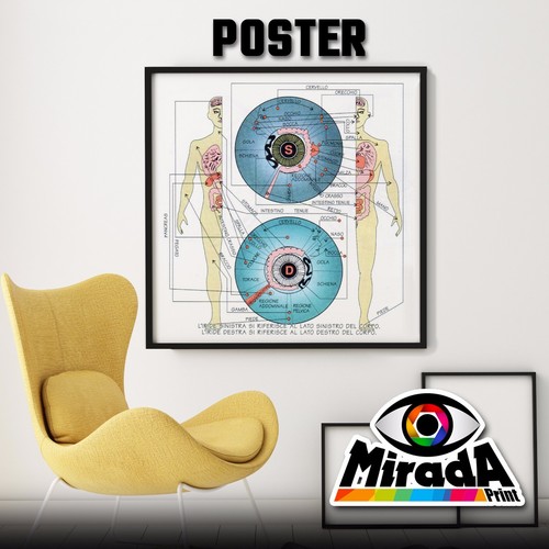 Poster iridologia mappa - poster,