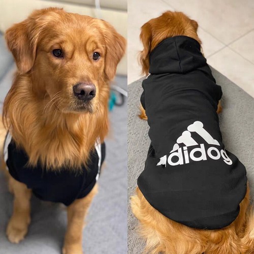 Felpa cappuccio cane adidog - cappuccio,