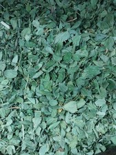 100g sidra leaves - 100g,
