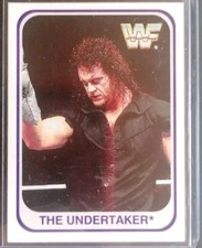 WWF Merlin 1991 | The