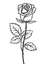 9 x adesivi auto sticker rose