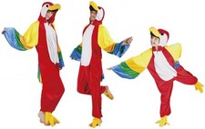 Costume pappagallo pappagallo
