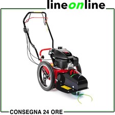Decespugliatore a scoppio con