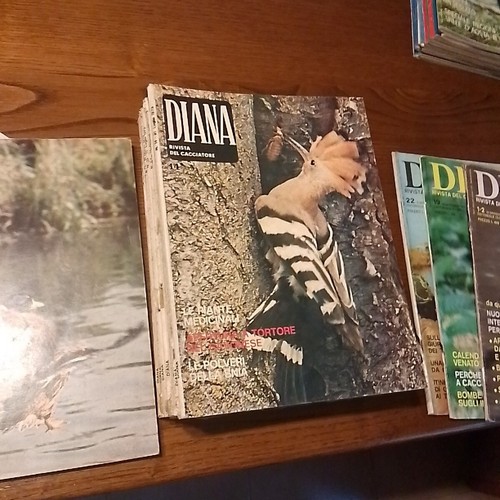 Rivista diana caccia - rivista,