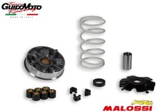 VARIATORE MALOSSI SCOOTER