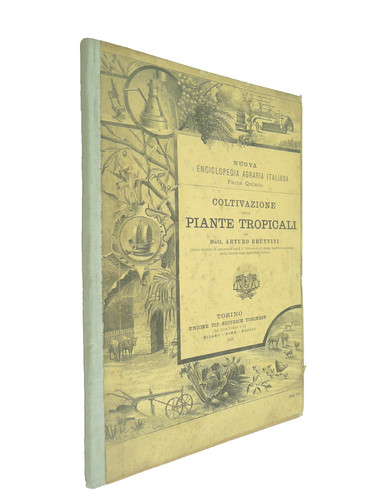 Coltivazione piante tropicali - piante,