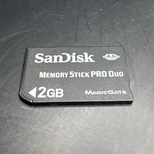 Sandisk memory stick pro - 2,