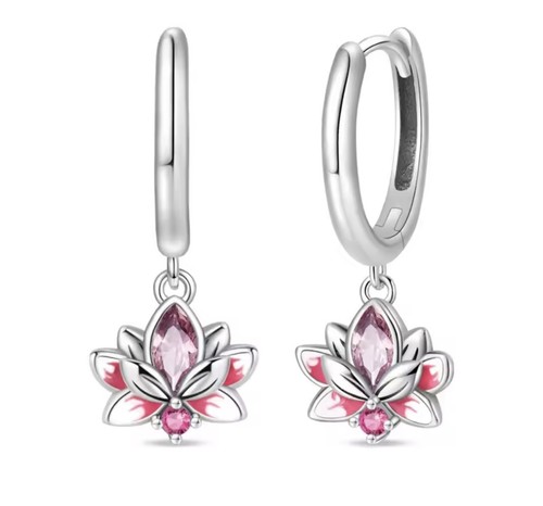 Orecchini cerchio argento - in,