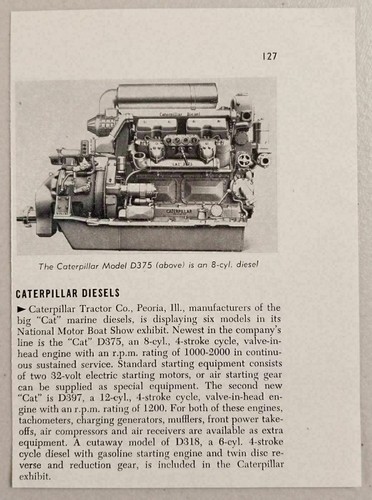 1950 rivista foto - gatto, motori