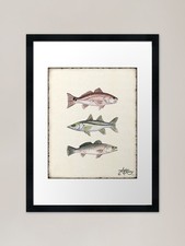 "Inshore Slam" di Amber Marine