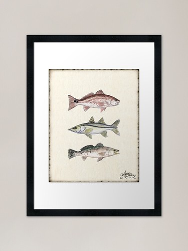 Inshore slam amber marine - slam", di