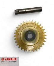 Ingranaggio + albero per pompa