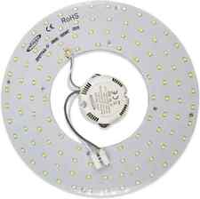 CIRCOLINA PIASTRA MAGNETICA