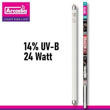 Arcadia Lampada T5 D3 Dragon