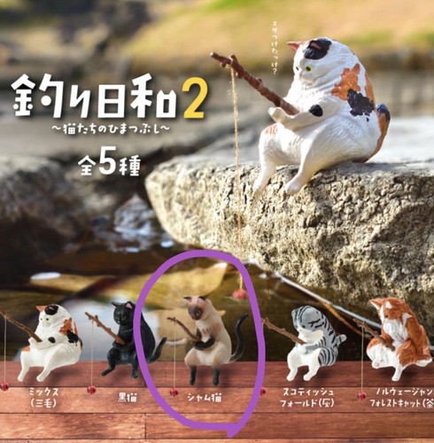 Gatto siamese fish day - gatto, gacha