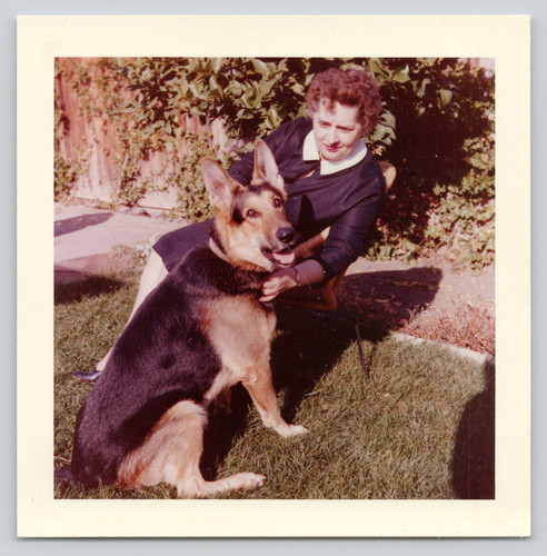 Foto ritrovata donna con - , cane