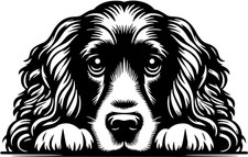 Adesivo COCKER SPANIEL -