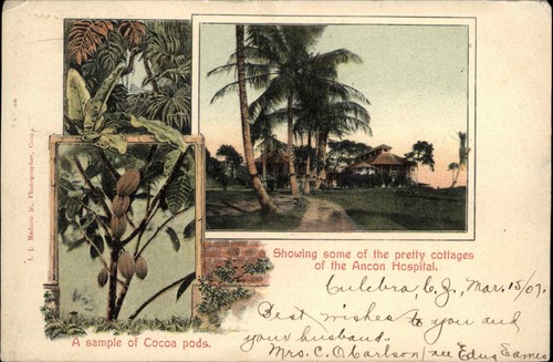 Ancon panama city cacao pods - city,