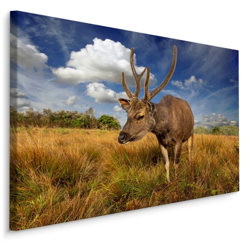 Quadri tela canvas xxl - su,