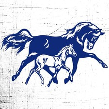 L219 Set 1 Adesivo Horsebox