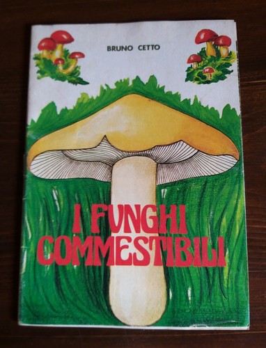 Funghi commestibili bruno - funghi,