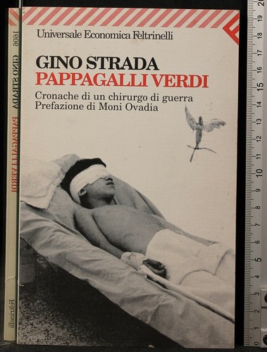 Pappagalli verdi gino - verdi., strada