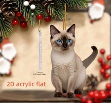 Decorazione gatto siamese