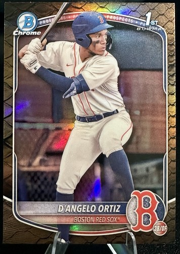 Angelo ortiz 2025 - d'angelo,