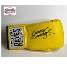 Guantone da boxe firmato David