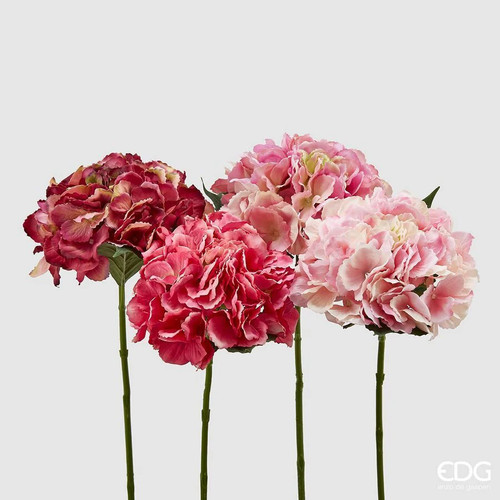 Edg enzo gasperi ortensia - edg,