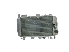 Radiatore acqua con dettaglio