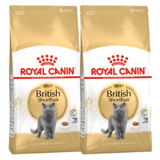 ROYAL CANIN British Shorthair