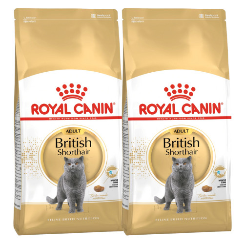 Royal canin british shorthair - canin,