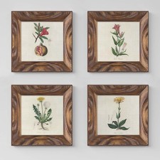 Set 4 Quadretti con Fiori