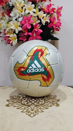 Fifa world cup 2002 fevernova - world,