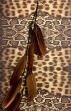 Mono Orecchino Lungo Piume Marrone Donna