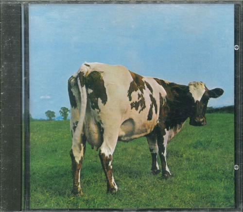 Pink floyd atom - pink,