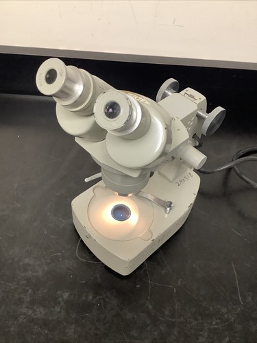Microscopio stereo spi 1838 - microscopio,