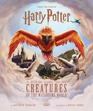 Harry Potter: A Pop-Up Guide