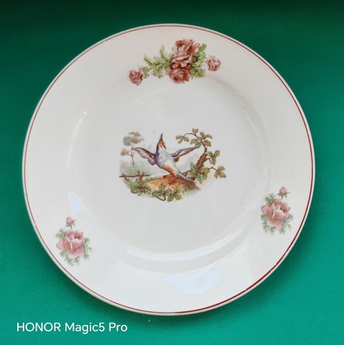Florio ceramica piatto piano - ceramica/piatto,