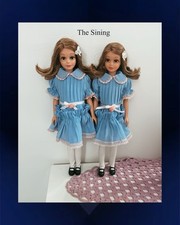 Barbie Skipper Vintage -OOAK-