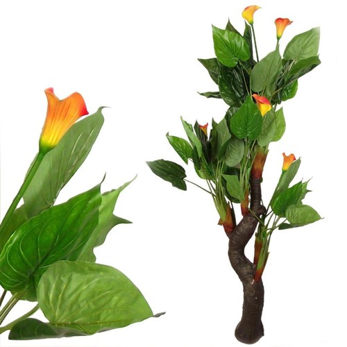 Grande giglio tropicale - grande,