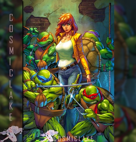 Teenage mutant ninja turtles - ninja,