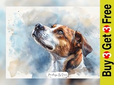 Heartwarming Jack Russell Dog