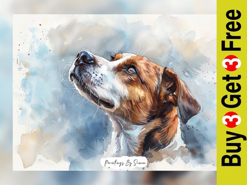 Heartwarming jack russell - jack, dog